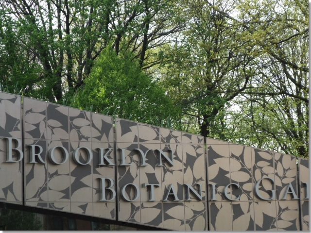 ʪ (Brooklyn Botanic Garden)